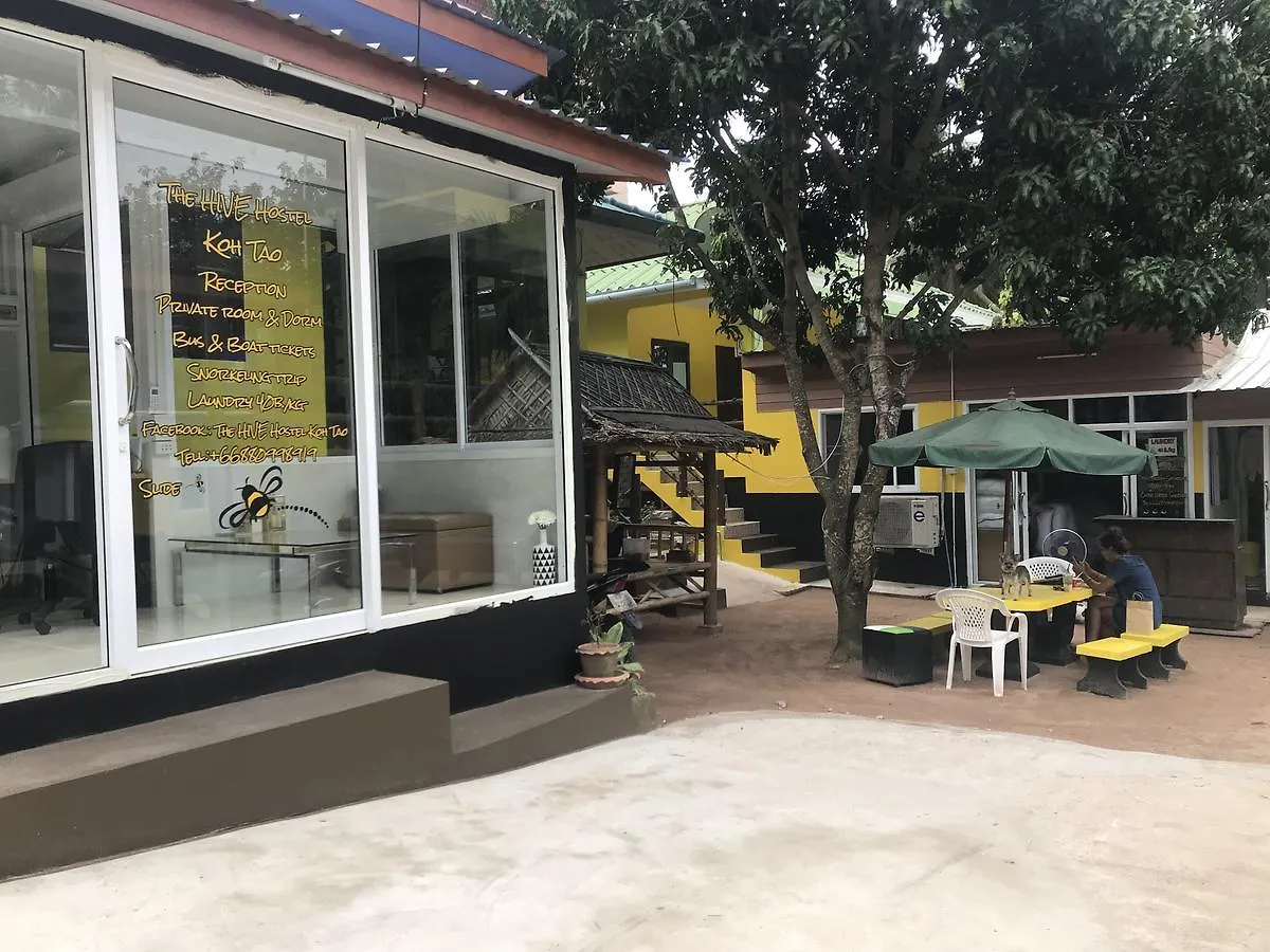 The Hive Hostel Ko Tao